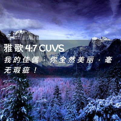 Picture 02 - 雅 歌 4:7 CUVS - 我 的 佳 偶 ， 你 全 然 美 丽 ， 毫 - Bible Verse Picture