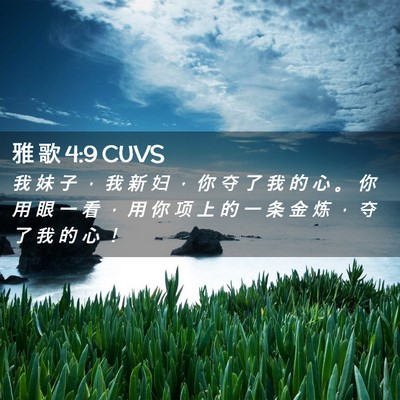 Picture 02 - 雅 歌 4:9 CUVS - 我 妹 子 ， 我 新 妇 ， 你 夺 了 我 - Bible Verse Picture