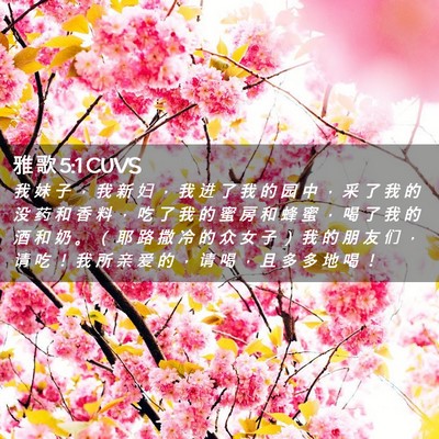Picture 02 - 雅 歌 5:1 CUVS - 我 妹 子 ， 我 新 妇 ， 我 进 了 我 - Bible Verse Picture