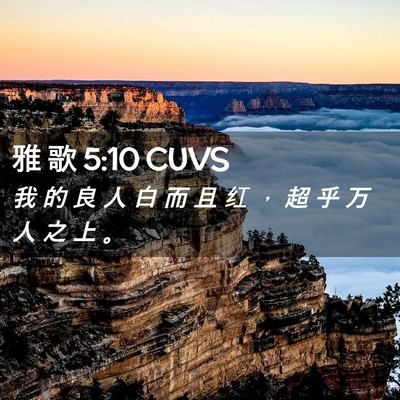 Picture 02 - 雅 歌 5:10 CUVS - 我 的 良 人 白 而 且 红 ， 超 乎 万 - Bible Verse Picture