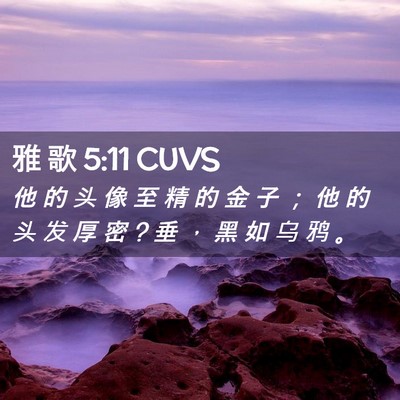 Picture 02 - 雅 歌 5:11 CUVS - 他 的 头 像 至 精 的 金 子 ； 他 的 - Bible Verse Picture