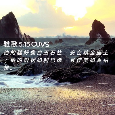 Picture 02 - 雅 歌 5:15 CUVS - 他 的 腿 好 像 白 玉 石 柱 ， 安 在 - Bible Verse Picture
