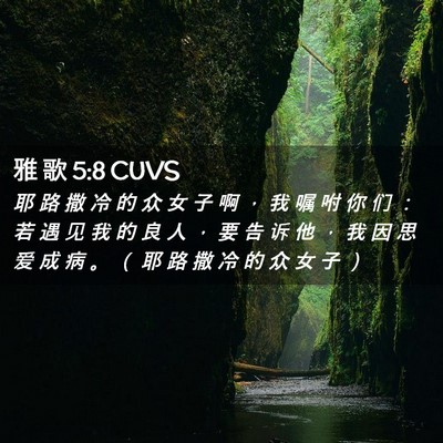 Picture 02 - 雅 歌 5:8 CUVS - 耶 路 撒 冷 的 众 女 子 啊 ， 我 嘱 - Bible Verse Picture