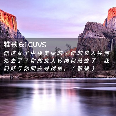 Picture 02 - 雅 歌 6:1 CUVS - 你 这 女 子 中 极 美 丽 的 ， 你 的 - Bible Verse Picture