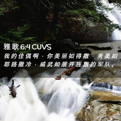 Picture 02 - 雅 歌 6:4 CUVS - 我 的 佳 偶 啊 ， 你 美 丽 如 得 撒 - Bible Verse Picture