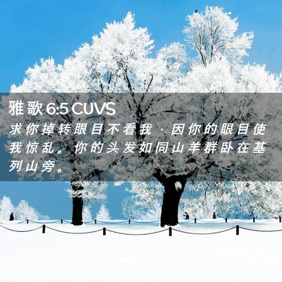 Picture 02 - 雅 歌 6:5 CUVS - 求 你 掉 转 眼 目 不 看 我 ， 因 你 - Bible Verse Picture