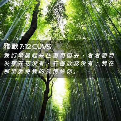 Picture 02 - 雅 歌 7:12 CUVS - 我 们 早 晨 起 来 往 葡 萄 园 去 ， - Bible Verse Picture