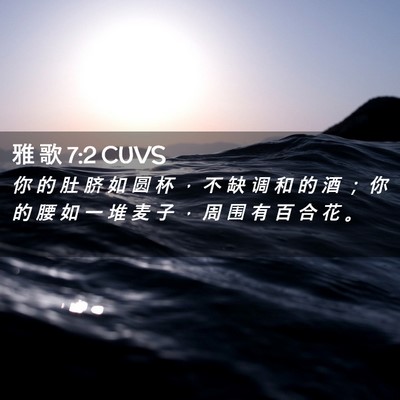 Picture 02 - 雅 歌 7:2 CUVS - 你 的 肚 脐 如 圆 杯 ， 不 缺 调 和 - Bible Verse Picture