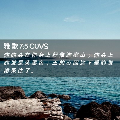 Picture 02 - 雅 歌 7:5 CUVS - 你 的 头 在 你 身 上 好 像 迦 密 山 - Bible Verse Picture