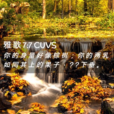 Picture 02 - 雅 歌 7:7 CUVS - 你 的 身 量 好 像 棕 树 ； 你 的 两 - Bible Verse Picture