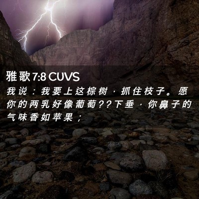 Picture 02 - 雅 歌 7:8 CUVS - 我 说 ： 我 要 上 这 棕 树 ， 抓 住 - Bible Verse Picture