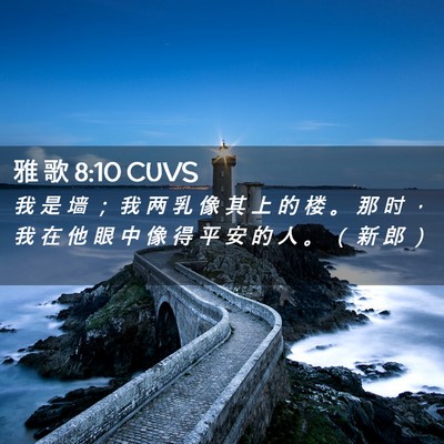 Picture 02 - 雅 歌 8:10 CUVS - 我 是 墙 ； 我 两 乳 像 其 上 的 楼 - Bible Verse Picture