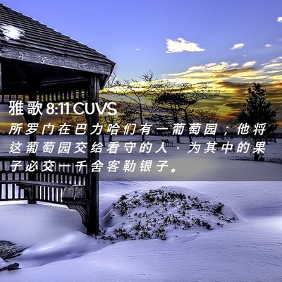 Picture 02 - 雅 歌 8:11 CUVS - 所 罗 门 在 巴 力 哈 们 有 一 葡 萄 - Bible Verse Picture
