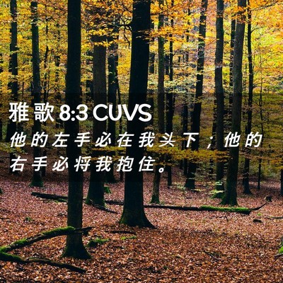 Picture 02 - 雅 歌 8:3 CUVS - 他 的 左 手 必 在 我 头 下 ； 他 的 - Bible Verse Picture