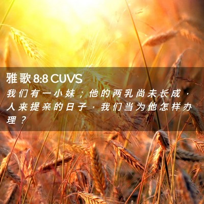 Picture 02 - 雅 歌 8:8 CUVS - 我 们 有 一 小 妹 ； 他 的 两 乳 尚 - Bible Verse Picture