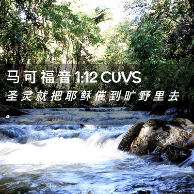 Picture 02 - 马 可 福 音 1:12 CUVS - 圣 灵 就 把 耶 稣 催 到 旷 野 里 去 - Bible Verse Picture