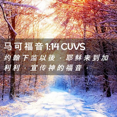 Picture 02 - 马 可 福 音 1:14 CUVS - 约 翰 下 监 以 後 ， 耶 稣 来 到 加 - Bible Verse Picture