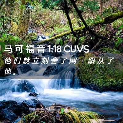 Picture 02 - 马 可 福 音 1:18 CUVS - 他 们 就 立 刻 舍 了 网 ， 跟 从 了 - Bible Verse Picture
