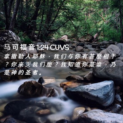 Picture 02 - 马 可 福 音 1:24 CUVS - 拿 撒 勒 人 耶 稣 ， 我 们 与 你 有 - Bible Verse Picture