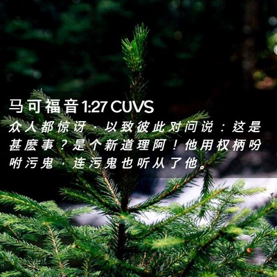 Picture 02 - 马 可 福 音 1:27 CUVS - 众 人 都 惊 讶 ， 以 致 彼 此 对 问 - Bible Verse Picture
