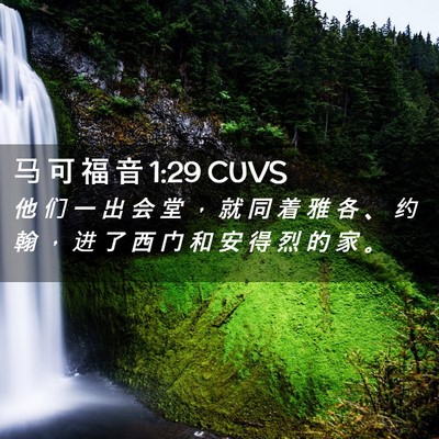 Picture 02 - 马 可 福 音 1:29 CUVS - 他 们 一 出 会 堂 ， 就 同 着 雅 各 - Bible Verse Picture
