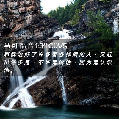 Picture 02 - 马 可 福 音 1:34 CUVS - 耶 稣 治 好 了 许 多 害 各 样 病 的 - Bible Verse Picture