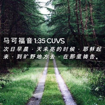 Picture 02 - 马 可 福 音 1:35 CUVS - 次 日 早 晨 ， 天 未 亮 的 时 候 ， - Bible Verse Picture