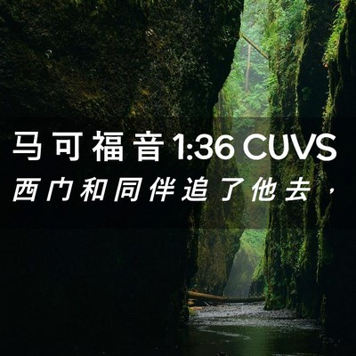 Picture 02 - 马 可 福 音 1:36 CUVS - 西 门 和 同 伴 追 了 他 去 - Bible Verse Picture