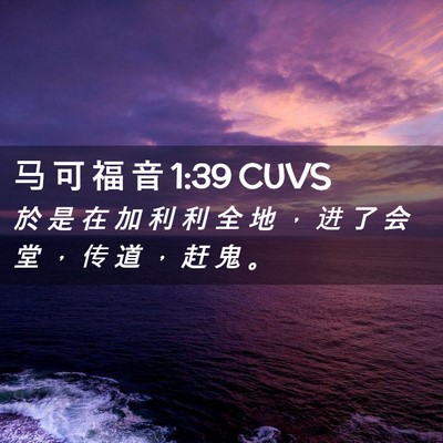 Picture 02 - 马 可 福 音 1:39 CUVS - 於 是 在 加 利 利 全 地 ， 进 了 会 - Bible Verse Picture