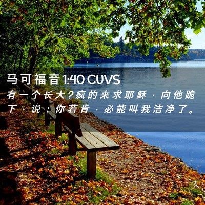 Picture 02 - 马 可 福 音 1:40 CUVS - 有 一 个 长 大 ? 疯 的 来 求 耶 稣 ， - Bible Verse Picture