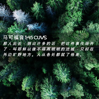 Picture 02 - 马 可 福 音 1:45 CUVS - 那 人 出 去 ， 倒 说 许 多 的 话 ， - Bible Verse Picture