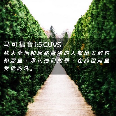 Picture 02 - 马 可 福 音 1:5 CUVS - 犹 太 全 地 和 耶 路 撒 冷 的 人 都 - Bible Verse Picture