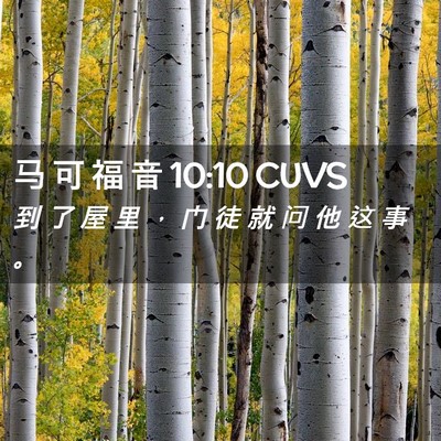 Picture 02 - 马 可 福 音 10:10 CUVS - 到 了 屋 里 ， 门 徒 就 问 他 这 事 - Bible Verse Picture