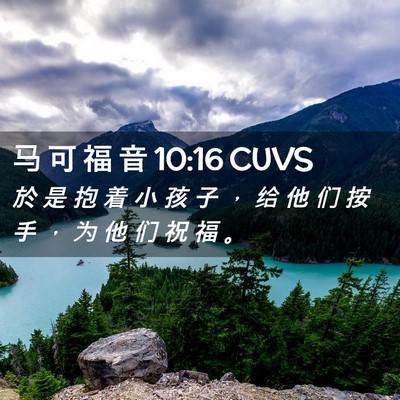 Picture 02 - 马 可 福 音 10:16 CUVS - 於 是 抱 着 小 孩 子 ， 给 他 们 按 - Bible Verse Picture