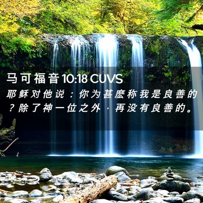 Picture 02 - 马 可 福 音 10:18 CUVS - 耶 稣 对 他 说 ： 你 为 甚 麽 称 我 - Bible Verse Picture