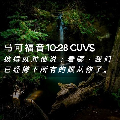 Picture 02 - 马 可 福 音 10:28 CUVS - 彼 得 就 对 他 说 ： 看 哪 ， 我 们 - Bible Verse Picture