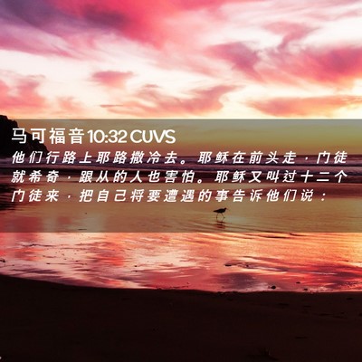 Picture 02 - 马 可 福 音 10:32 CUVS - 他 们 行 路 上 耶 路 撒 冷 去 。 耶 - Bible Verse Picture