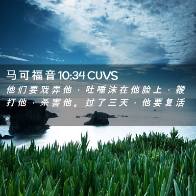 Picture 02 - 马 可 福 音 10:34 CUVS - 他 们 要 戏 弄 他 ， 吐 唾 沫 在 他 - Bible Verse Picture
