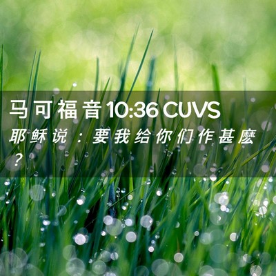 Picture 02 - 马 可 福 音 10:36 CUVS - 耶 稣 说 ： 要 我 给 你 们 作 甚 麽 - Bible Verse Picture
