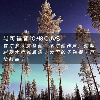 Picture 02 - 马 可 福 音 10:48 CUVS - 有 许 多 人 责 备 他 ， 不 许 他 作 - Bible Verse Picture
