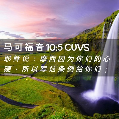 Picture 02 - 马 可 福 音 10:5 CUVS - 耶 稣 说 ： 摩 西 因 为 你 们 的 心 - Bible Verse Picture