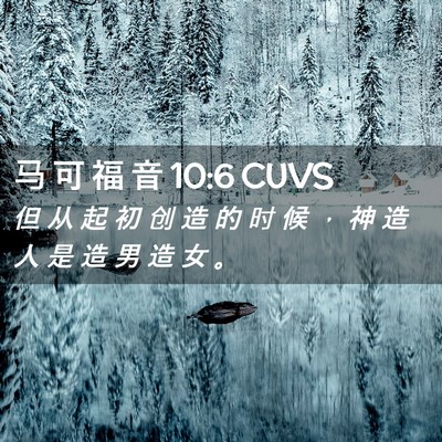 Picture 02 - 马 可 福 音 10:6 CUVS - 但 从 起 初 创 造 的 时 候 ， 神 造 - Bible Verse Picture