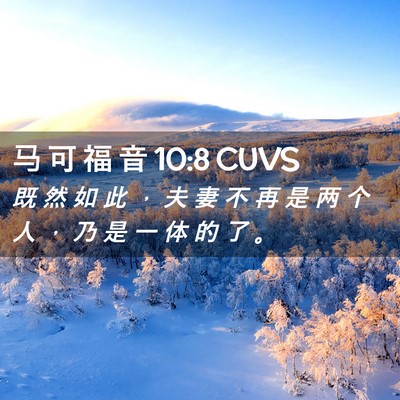 Picture 02 - 马 可 福 音 10:8 CUVS - 既 然 如 此 ， 夫 妻 不 再 是 两 个 - Bible Verse Picture