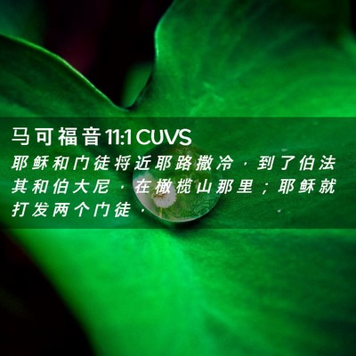 Picture 02 - 马 可 福 音 11:1 CUVS - 耶 稣 和 门 徒 将 近 耶 路 撒 冷 ， - Bible Verse Picture