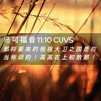 Picture 02 - 马 可 福 音 11:10 CUVS - 那 将 要 来 的 我 祖 大 卫 之 国 是 - Bible Verse Picture