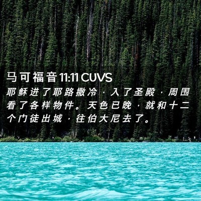 Picture 02 - 马 可 福 音 11:11 CUVS - 耶 稣 进 了 耶 路 撒 冷 ， 入 了 圣 - Bible Verse Picture