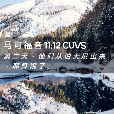 Picture 02 - 马 可 福 音 11:12 CUVS - 第 二 天 ， 他 们 从 伯 大 尼 出 来 - Bible Verse Picture