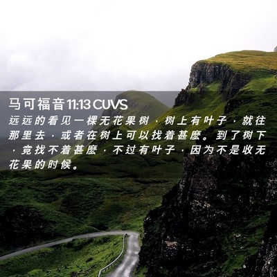 Picture 02 - 马 可 福 音 11:13 CUVS - 远 远 的 看 见 一 棵 无 花 果 树 ， - Bible Verse Picture