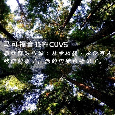 Picture 02 - 马 可 福 音 11:14 CUVS - 耶 稣 就 对 树 说 ： 从 今 以 後 ， - Bible Verse Picture