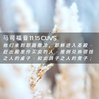 Picture 02 - 马 可 福 音 11:15 CUVS - 他 们 来 到 耶 路 撒 冷 。 耶 稣 进 - Bible Verse Picture